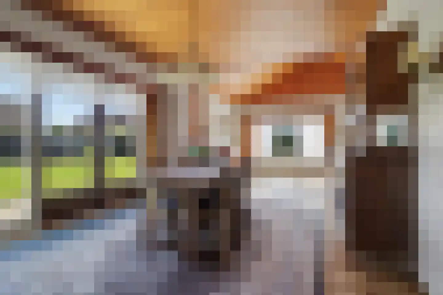 Nassaulaan 8 Baarle-Nassau thumbnail 22