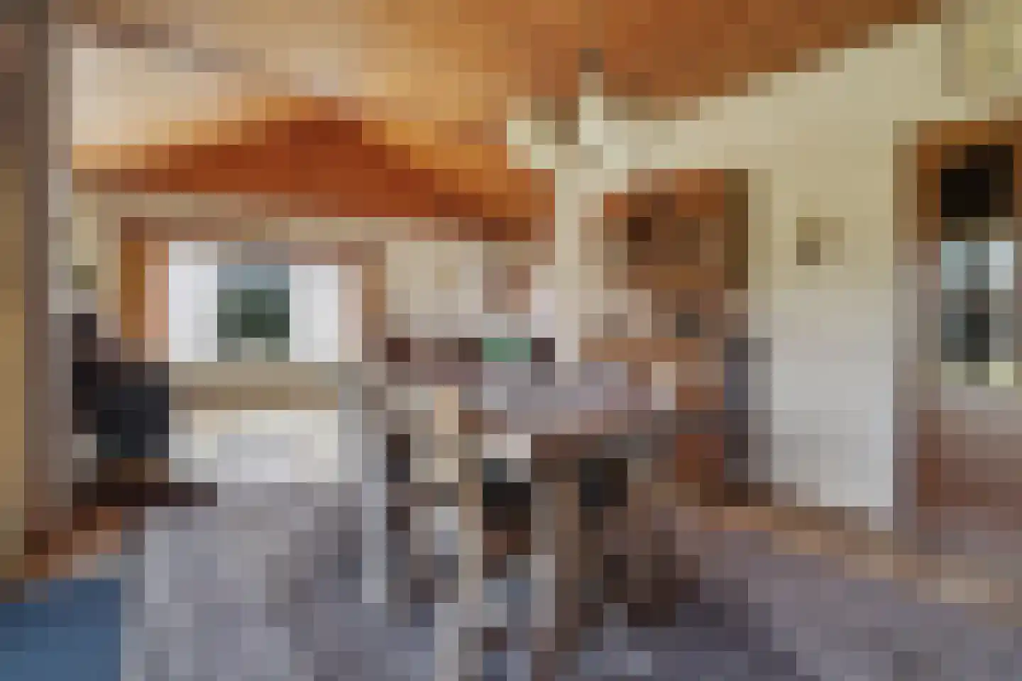 Nassaulaan 8 Baarle-Nassau thumbnail 23