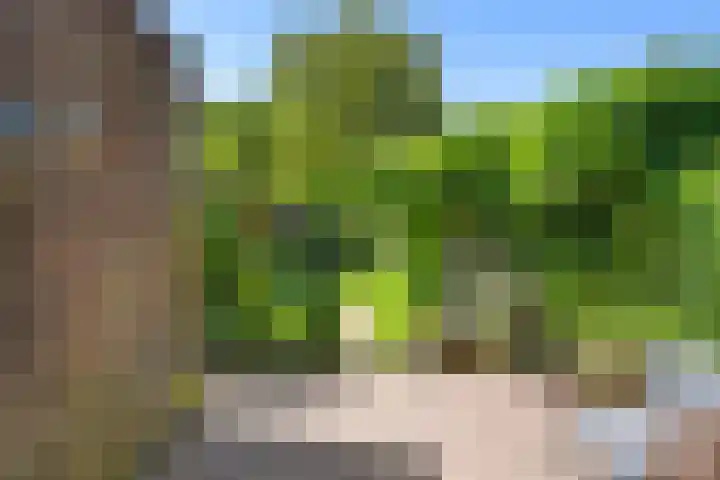 Nassaulaan 8 Bennekom thumbnail 13