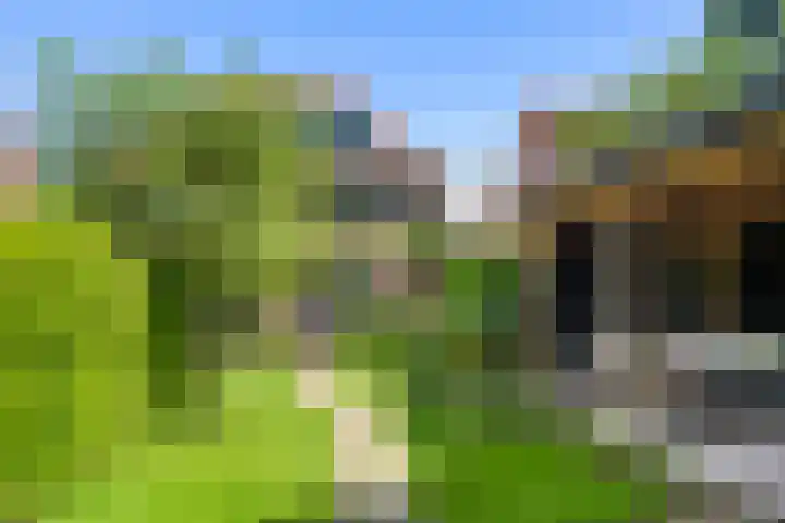 Nassaulaan 8 Bennekom thumbnail 15