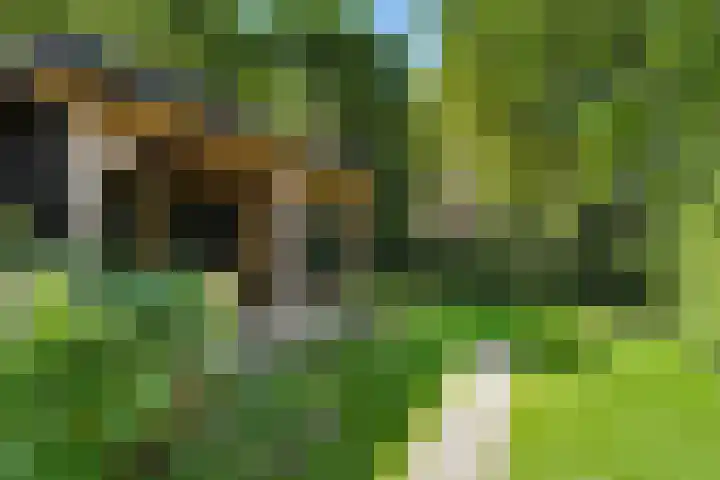 Nassaulaan 8 Bennekom thumbnail 16