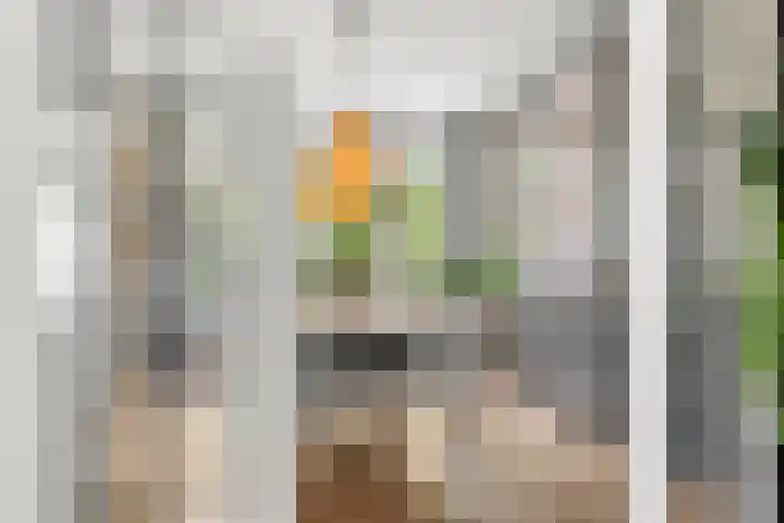 Nassaulaan 8 Bennekom thumbnail 26