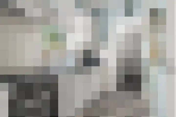 Nassaulaan 8 Bennekom thumbnail 31