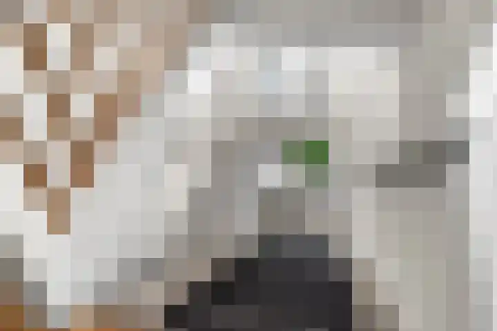 Nassaulaan 8 Bennekom thumbnail 33