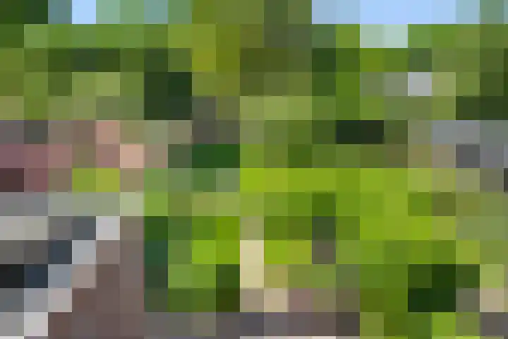 Nassaulaan 8 Bennekom thumbnail 45