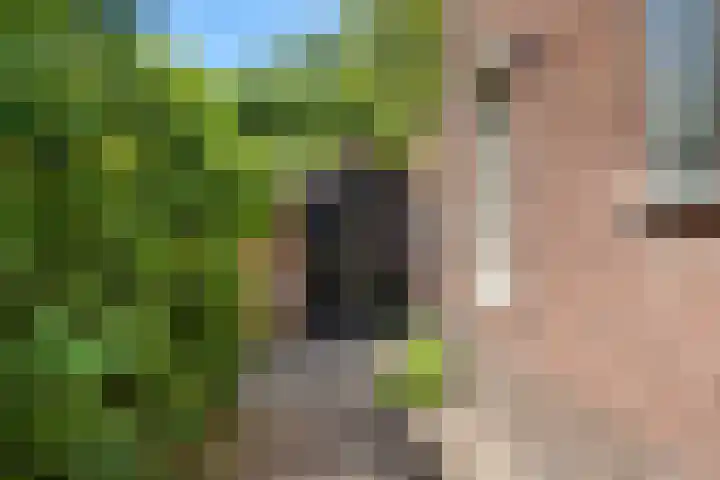 Nassaulaan 8 Bennekom thumbnail 8