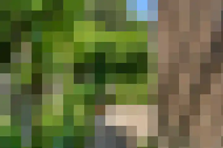 Nassaulaan 8 Bennekom thumbnail 9