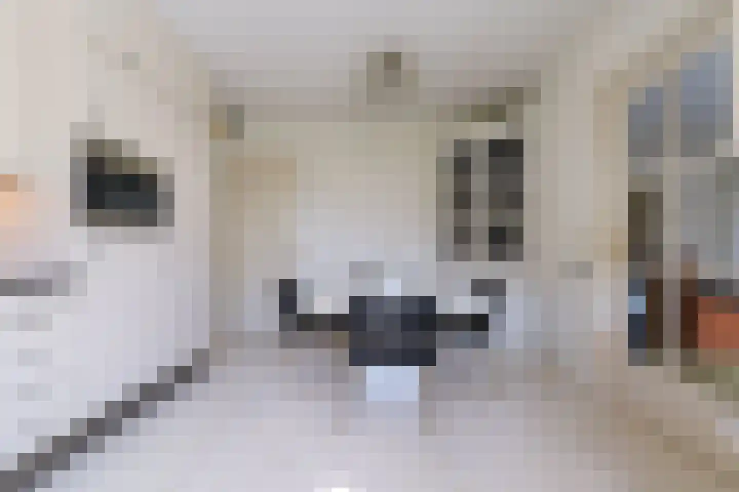 Nassaulaan 8 Oisterwijk thumbnail 26
