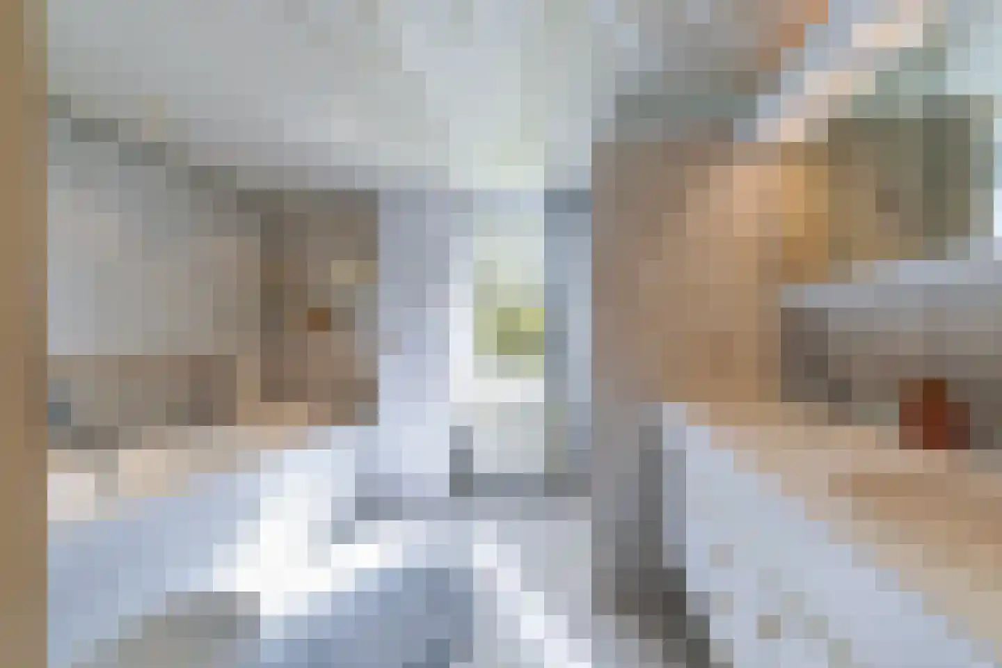 Nassaulaan 8 Oisterwijk thumbnail 37