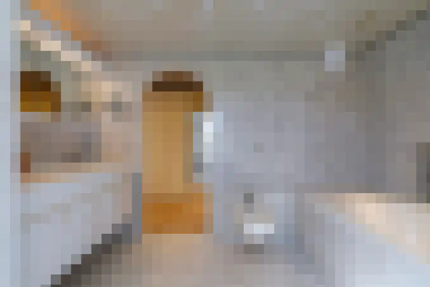 Nassaulaan 8 Oisterwijk thumbnail 38