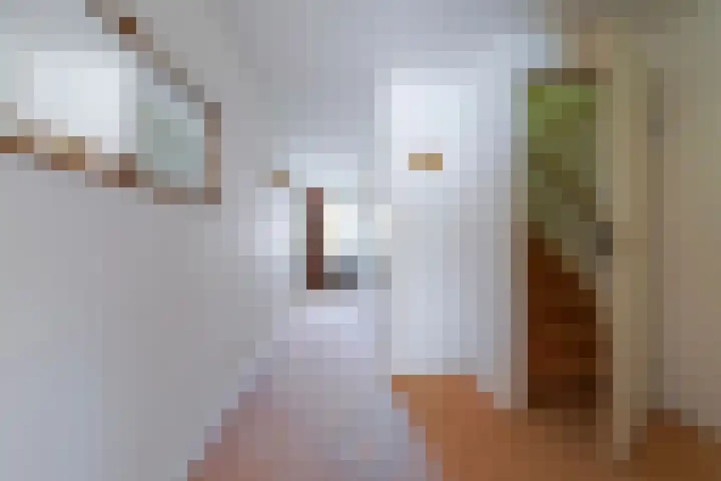Nassaulaan 8 Oisterwijk thumbnail 48