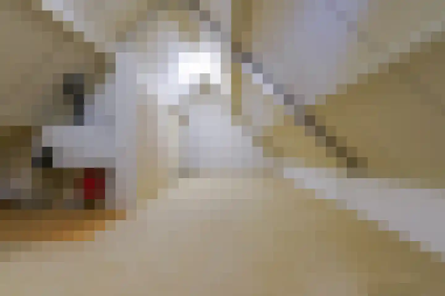 Nassaulaan 8 Oisterwijk thumbnail 50