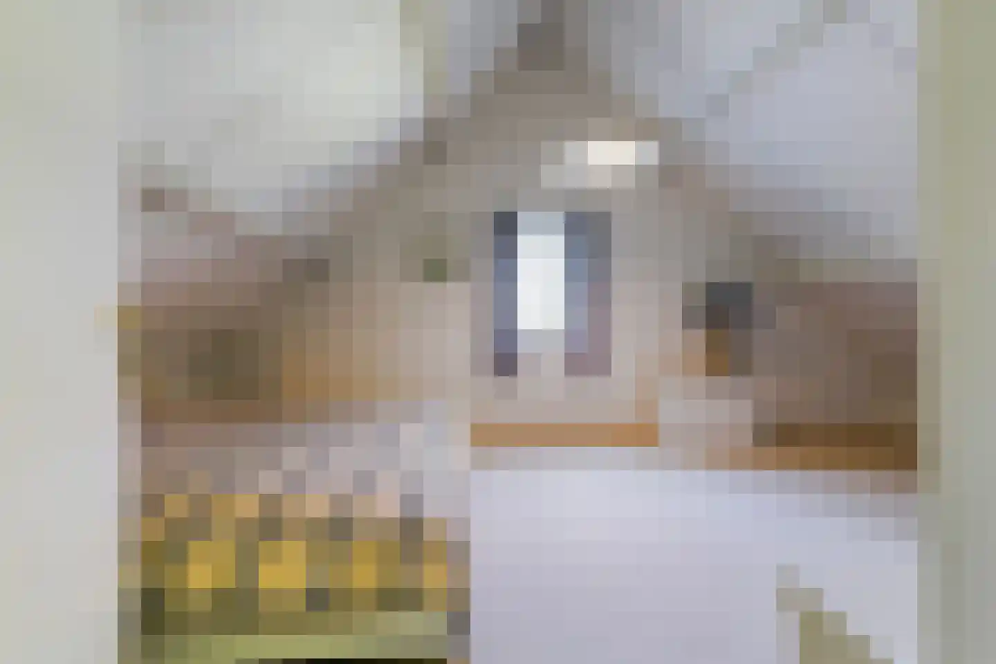 Nassaulaan 8 Oisterwijk thumbnail 52