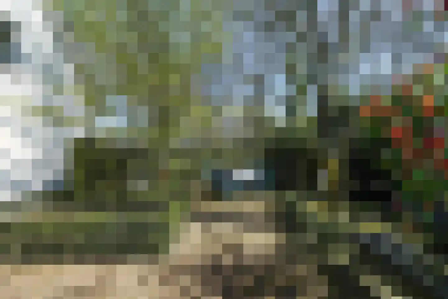 Nassaulaan 8 Oisterwijk thumbnail 59