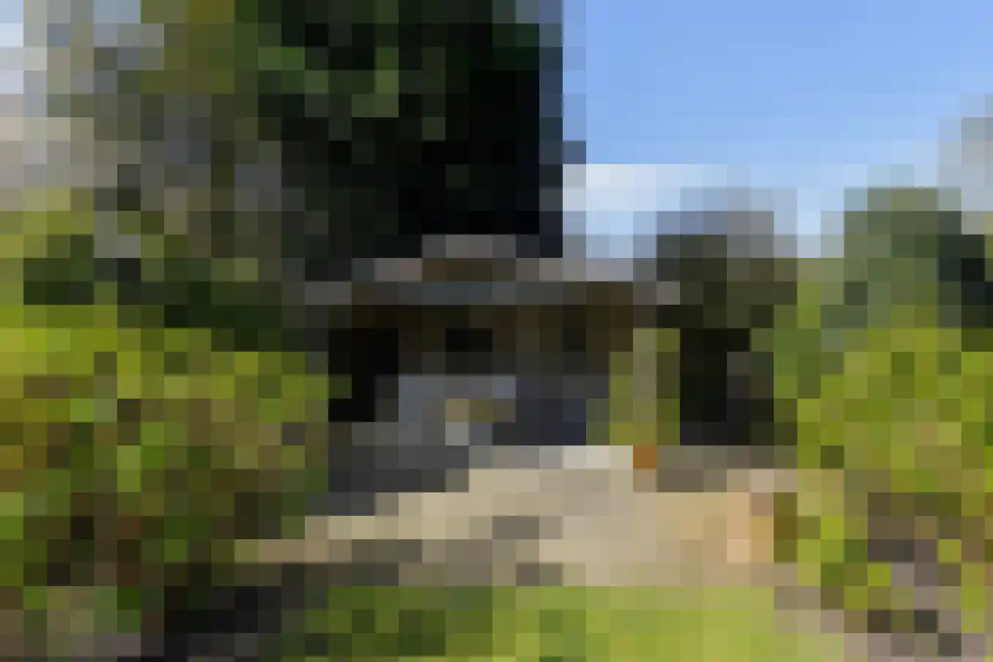 Nassaulaan 8 Oisterwijk thumbnail 65