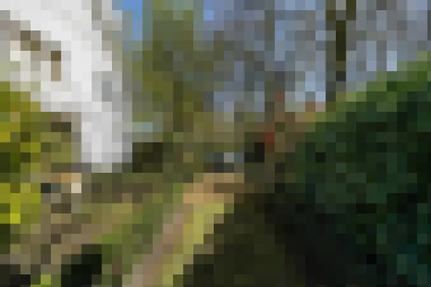 Nassaulaan 8 Oisterwijk thumbnail 70