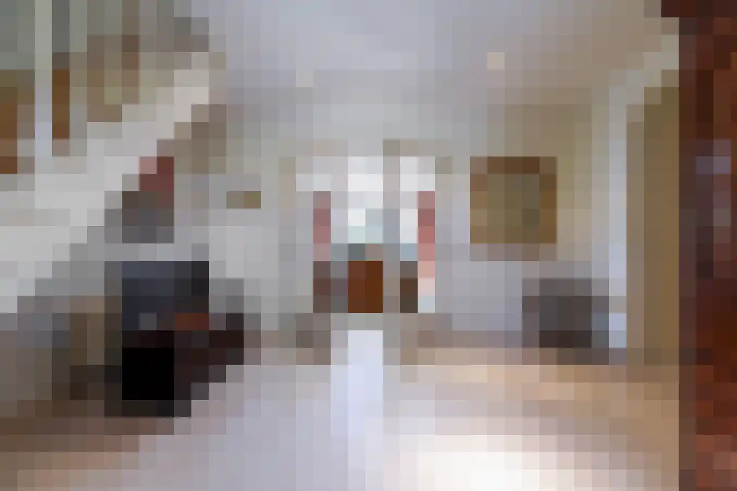 Nassaulaan 8 Oisterwijk thumbnail 8