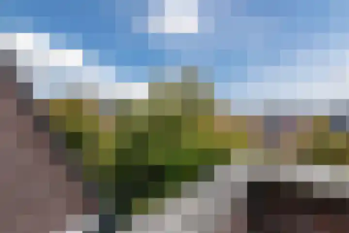 Nassaulaan 89 Haarlem thumbnail 32