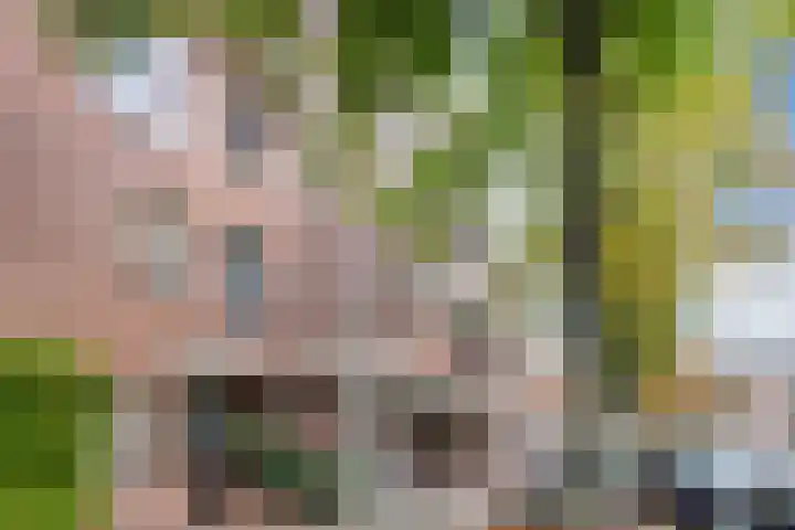 Nassaulaan 89 Haarlem thumbnail 33