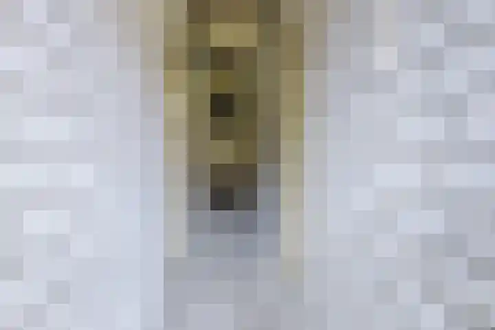 Nassaulaan 89 Haarlem thumbnail 38