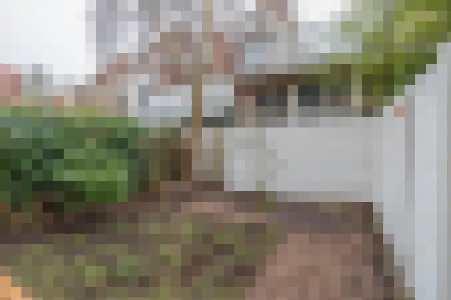 Nassaulaan 9 A Haarlem thumbnail 32