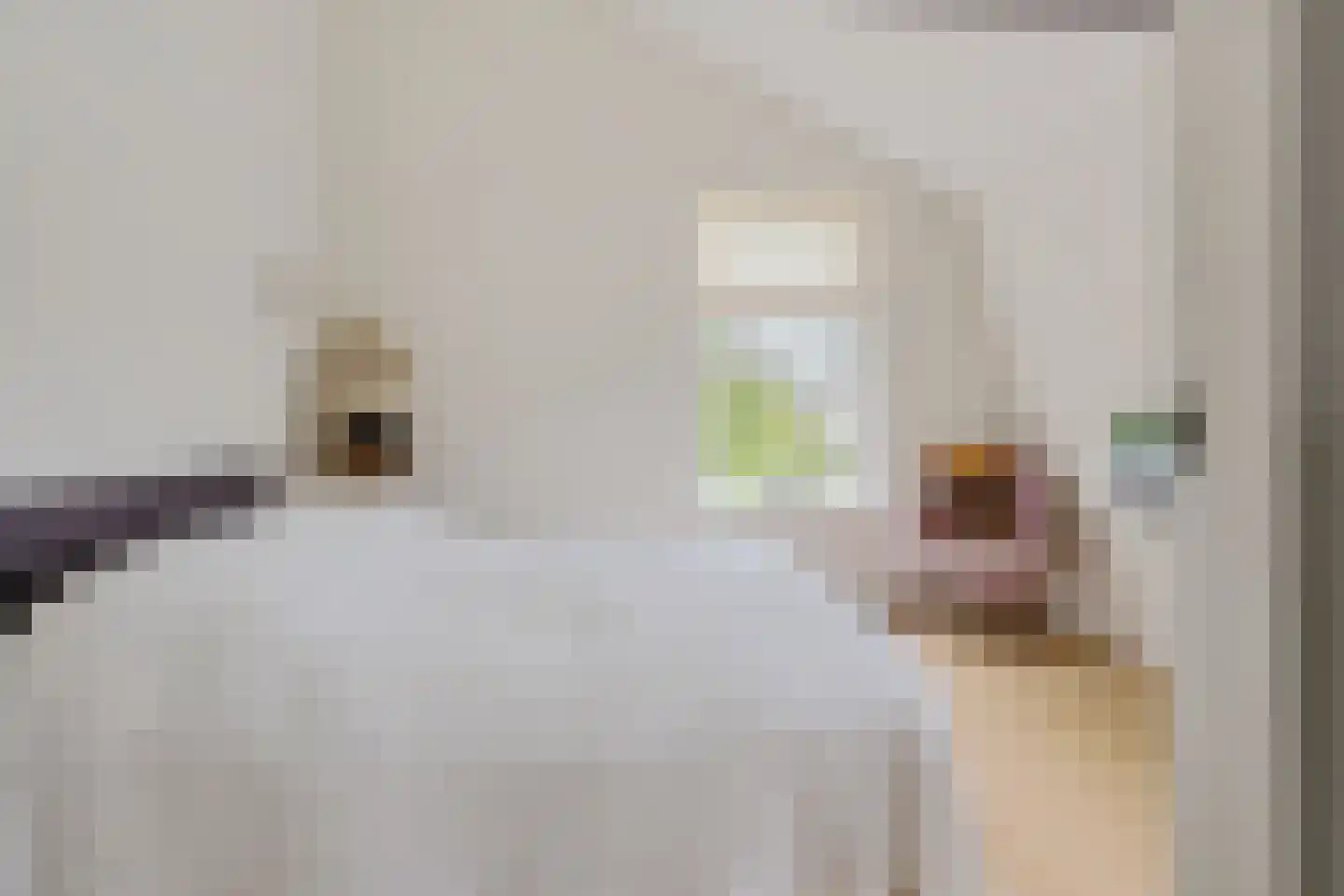 Nassaulaan 9 Baarn thumbnail 23