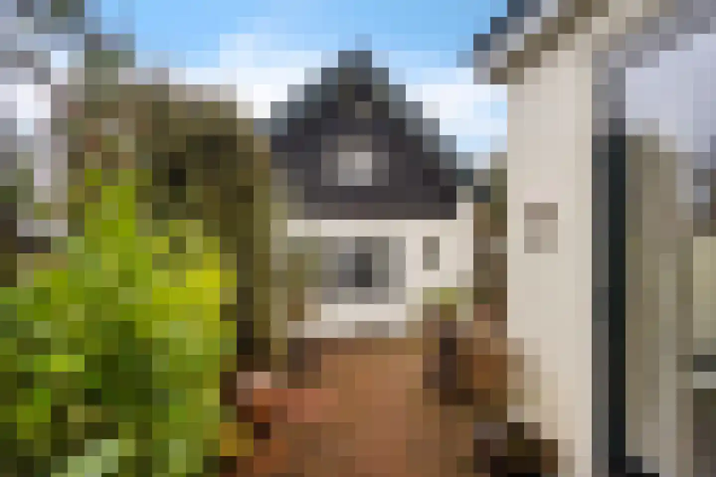 Nassaulaan 9 Baarn thumbnail 29