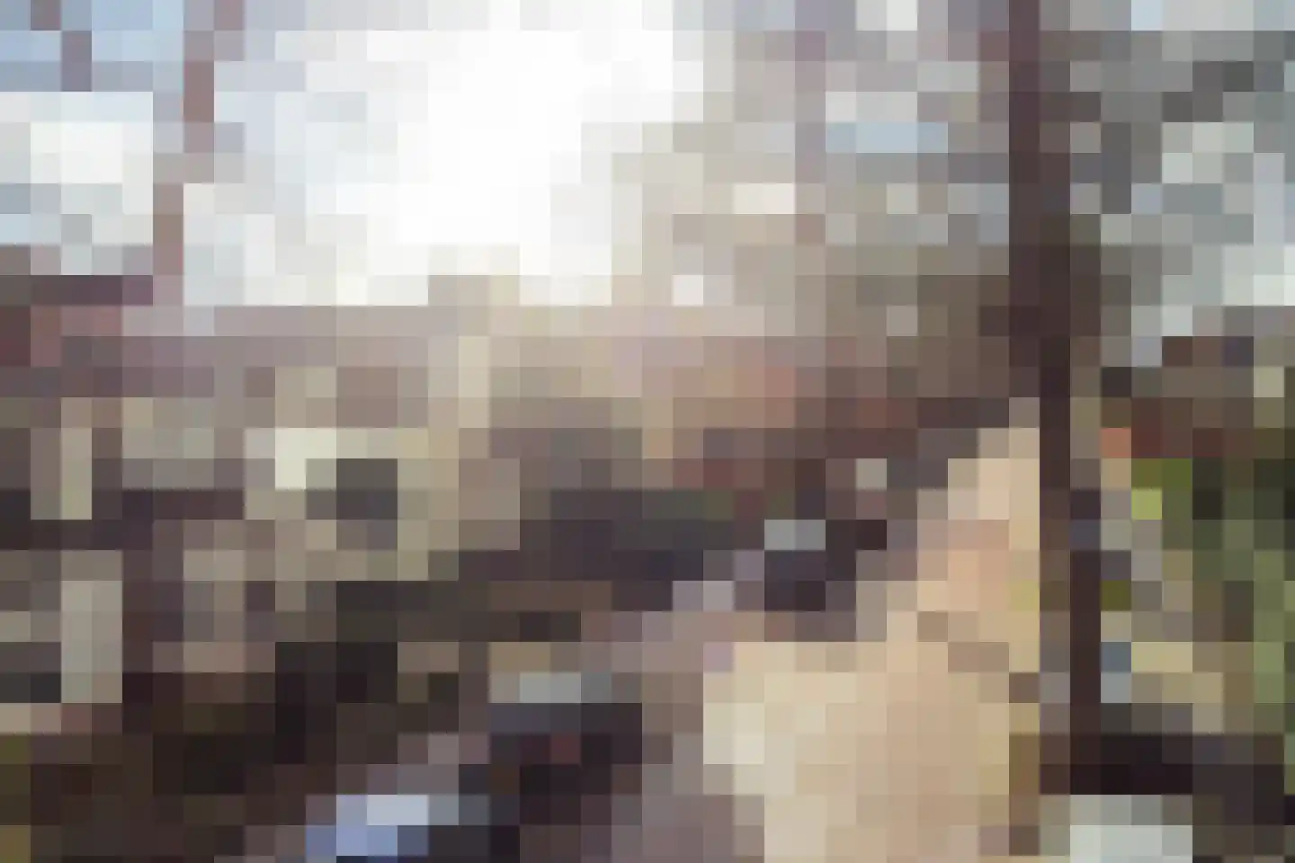 Nassaulaan 9 Baarn thumbnail 41