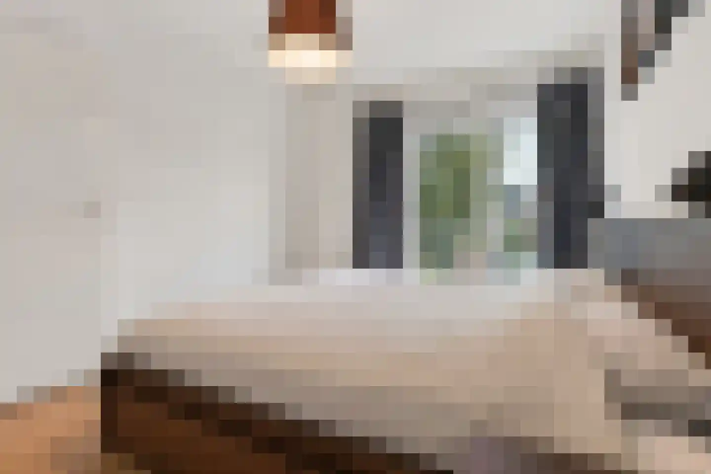 Nassaulaan 9 E Haarlem thumbnail 14