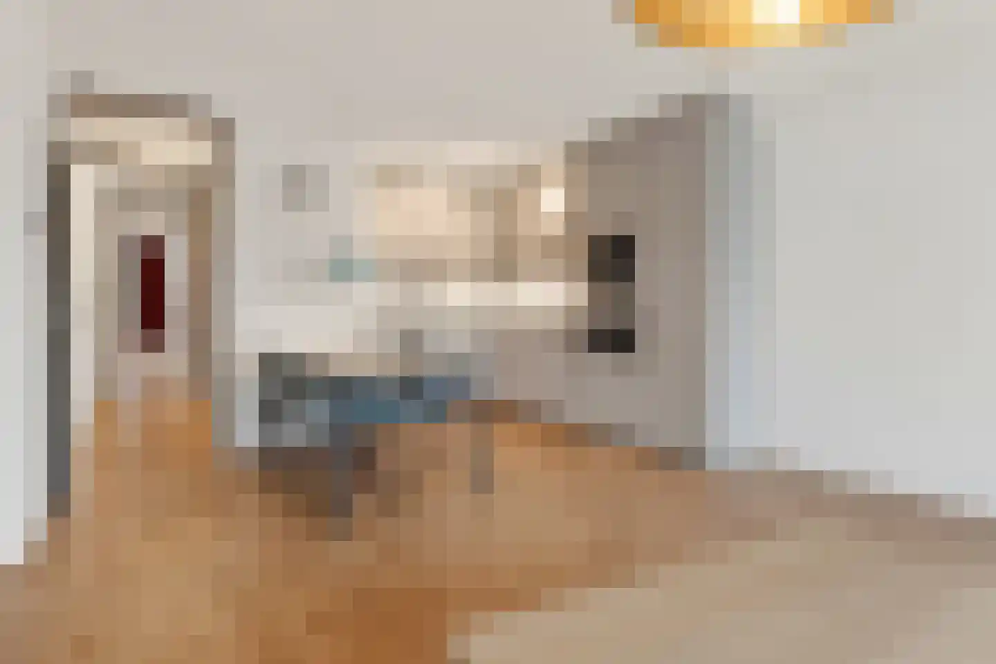 Nassaulaan 9 E Haarlem thumbnail 7