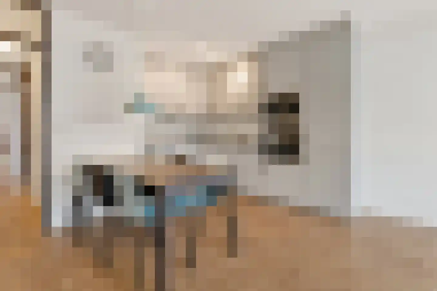 Nassaulaan 9 E Haarlem thumbnail 8