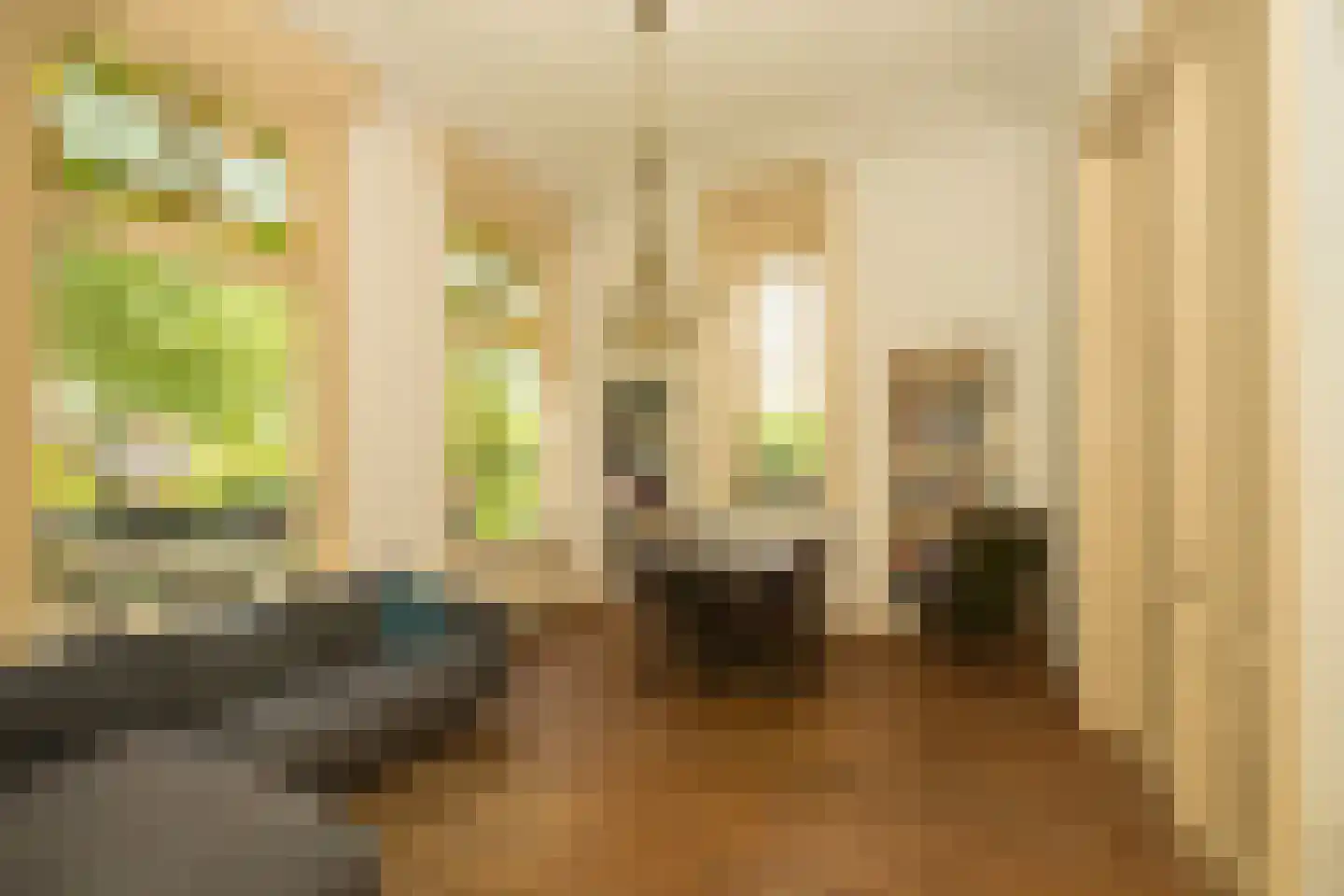 Nassaulaan 9 Steenbergen thumbnail 10