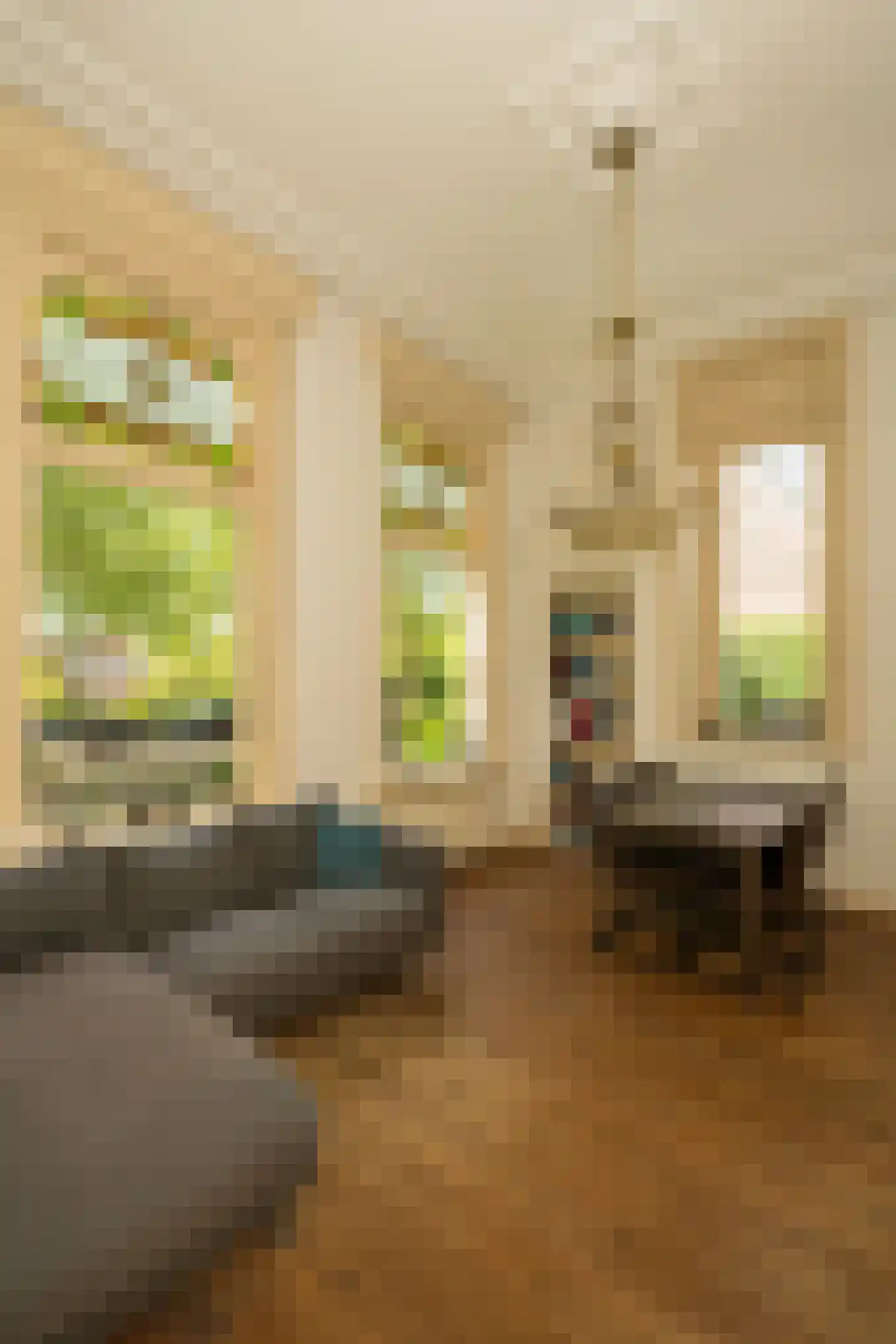 Nassaulaan 9 Steenbergen thumbnail 12