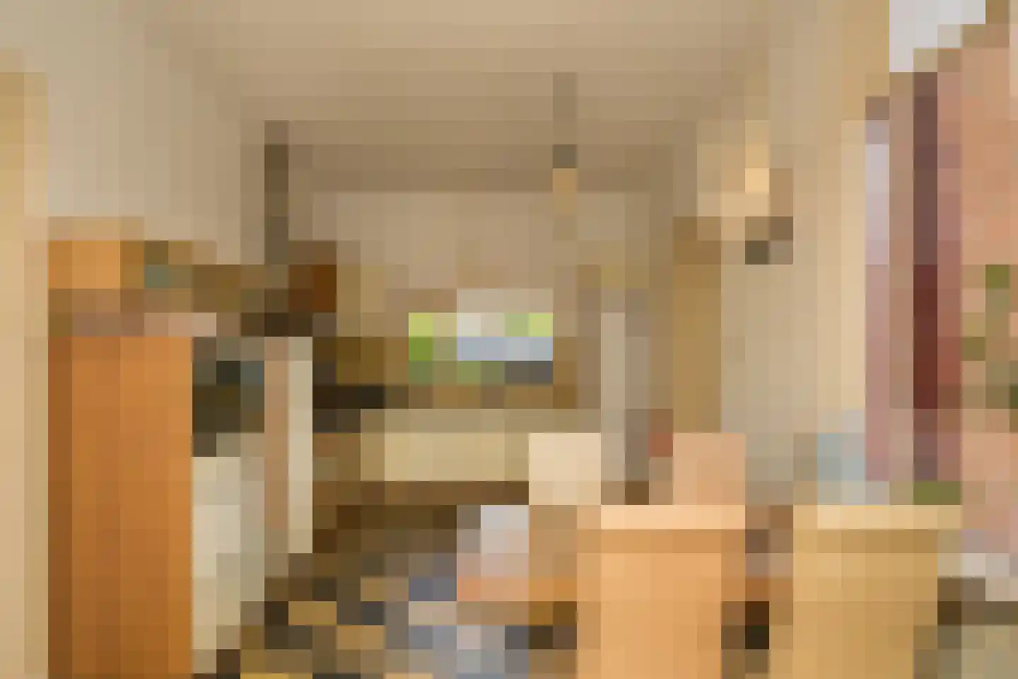 Nassaulaan 9 Steenbergen thumbnail 15