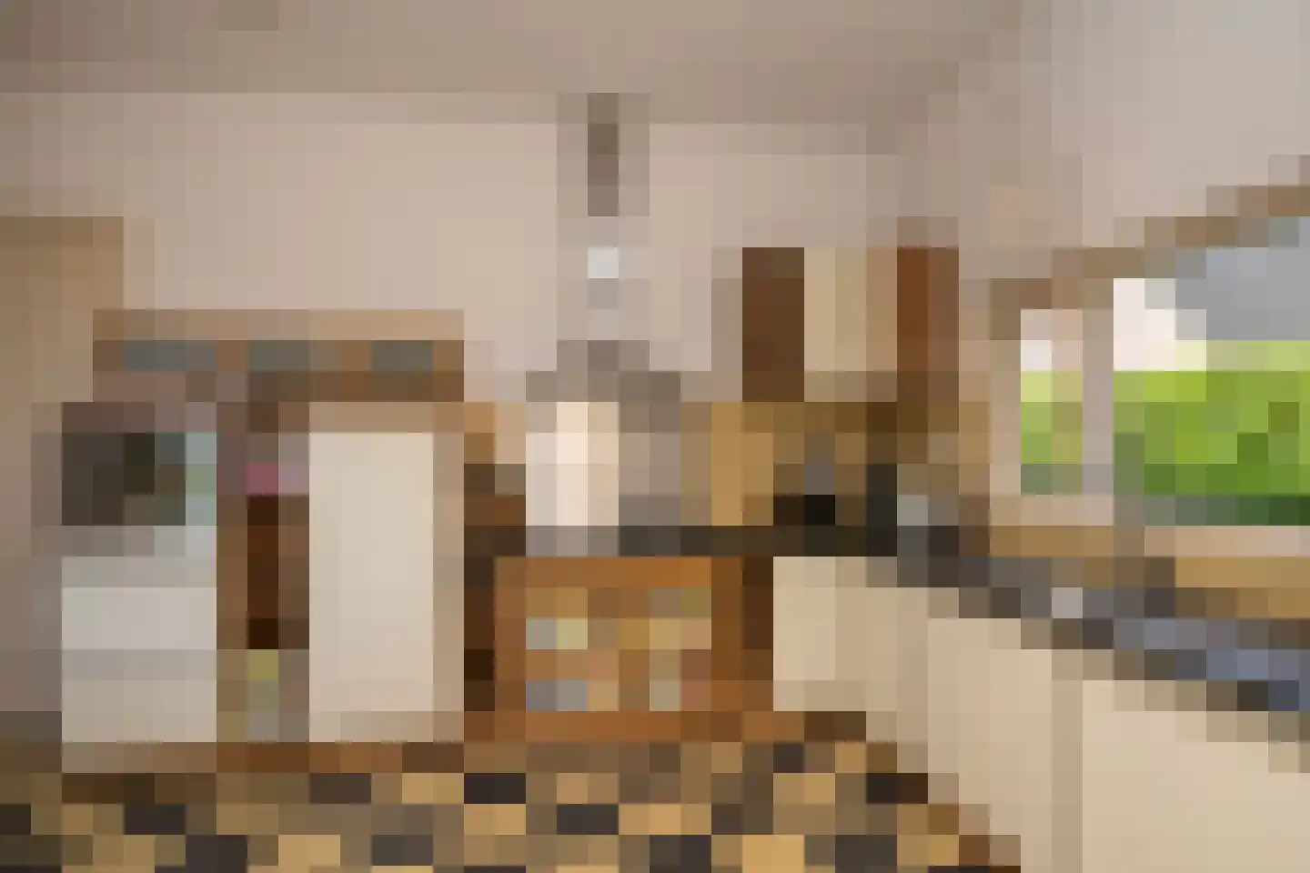 Nassaulaan 9 Steenbergen thumbnail 16