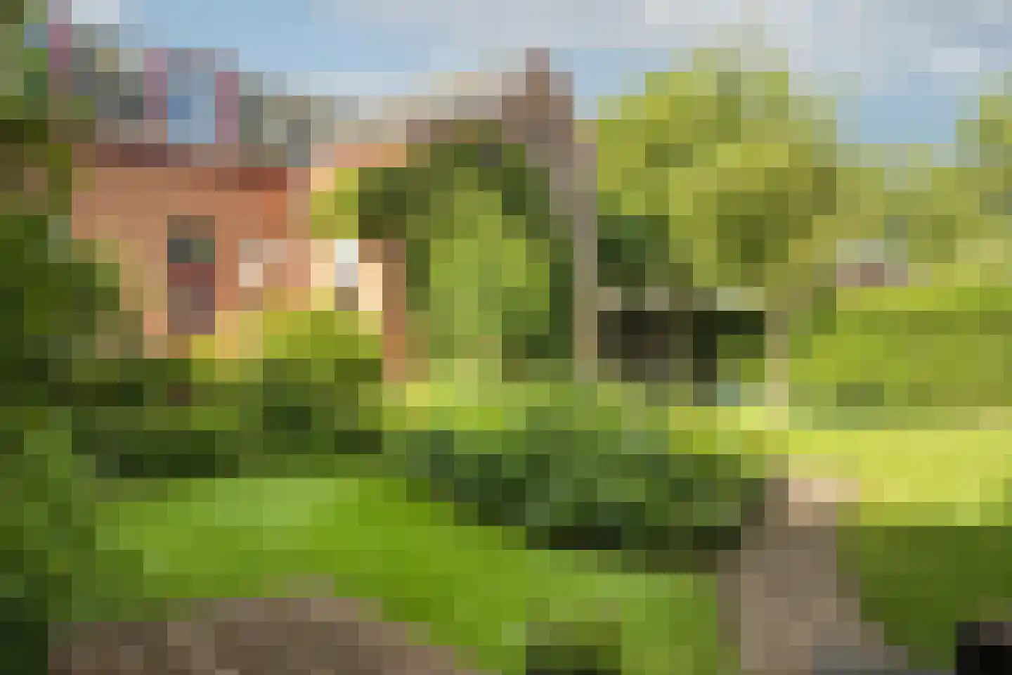 Nassaulaan 9 Steenbergen foto 2