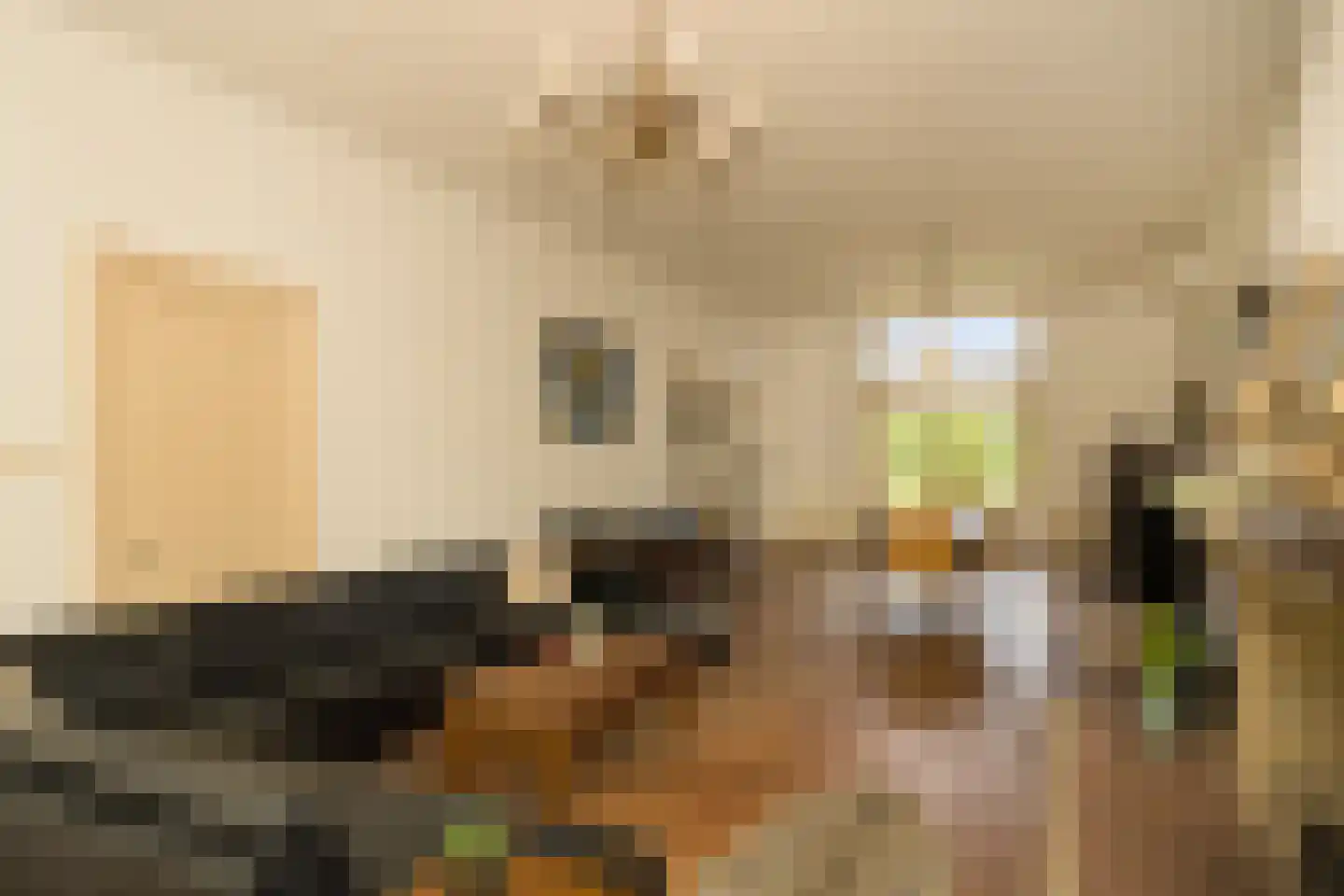 Nassaulaan 9 Steenbergen thumbnail 20