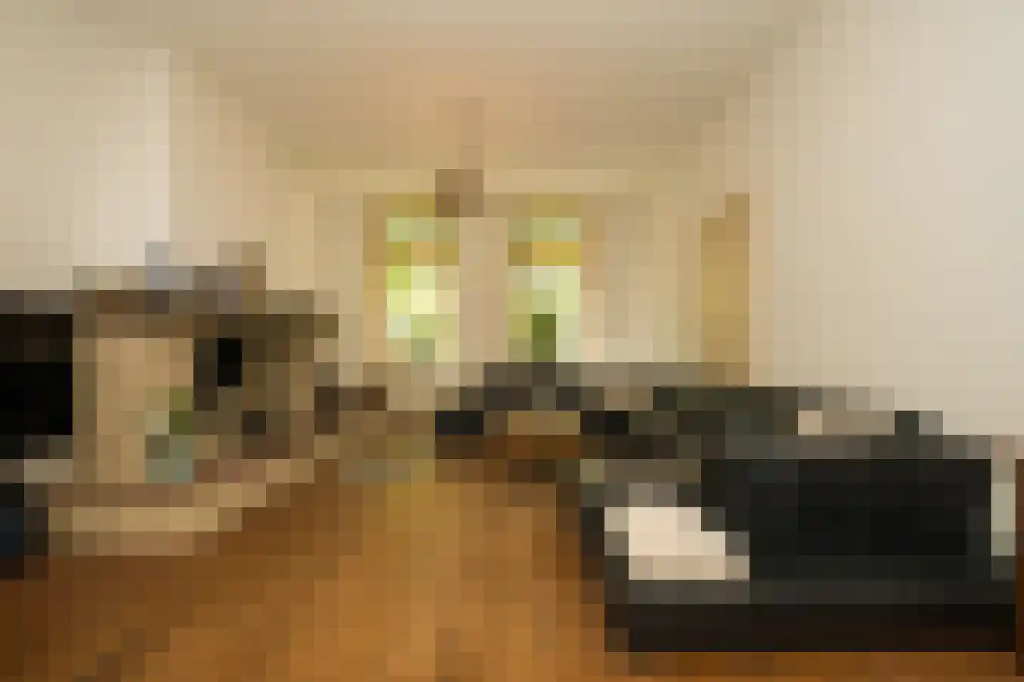 Nassaulaan 9 Steenbergen thumbnail 21
