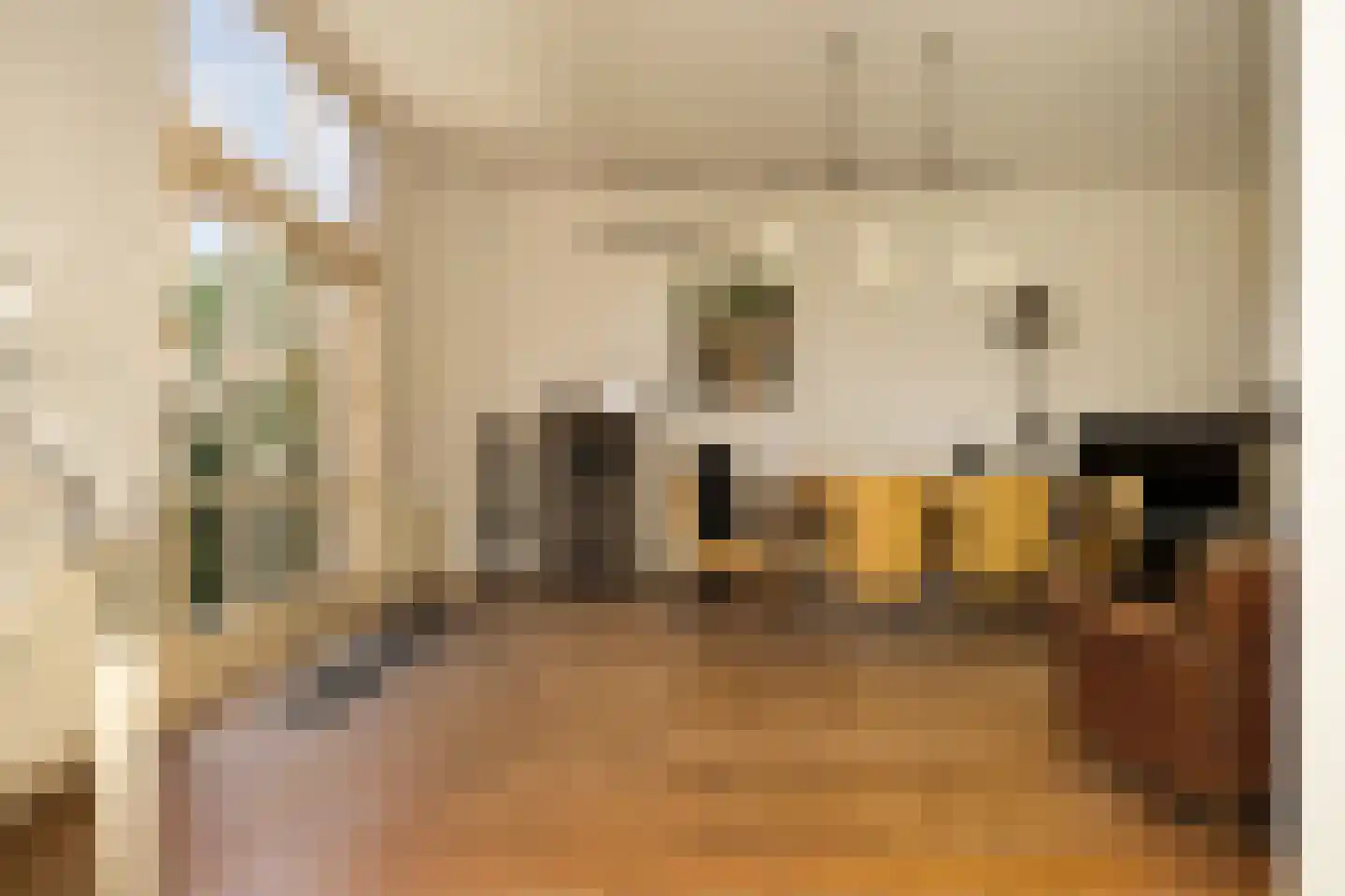 Nassaulaan 9 Steenbergen thumbnail 22