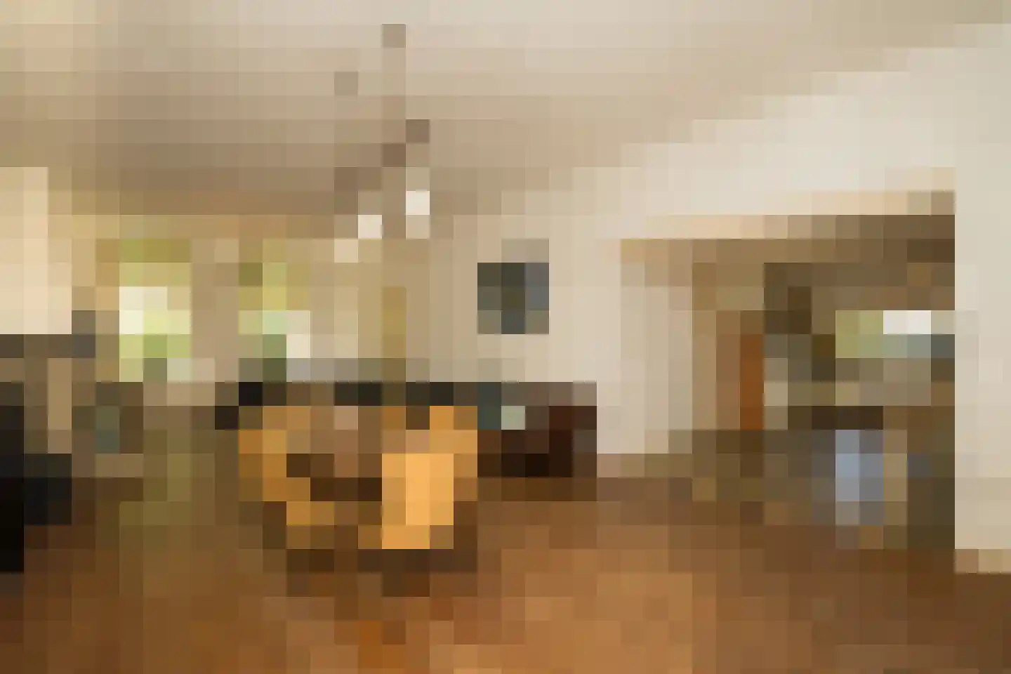 Nassaulaan 9 Steenbergen thumbnail 23
