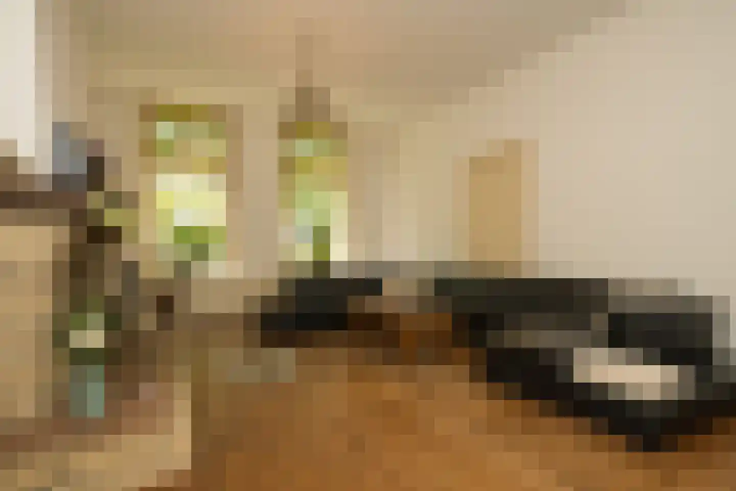 Nassaulaan 9 Steenbergen thumbnail 25