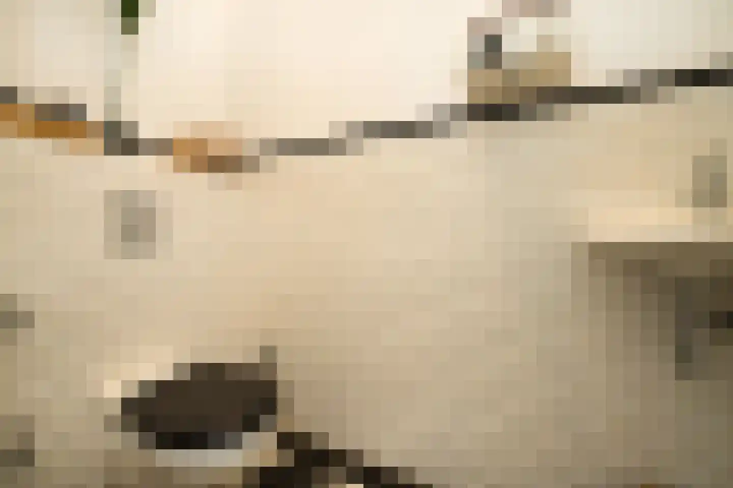 Nassaulaan 9 Steenbergen thumbnail 26