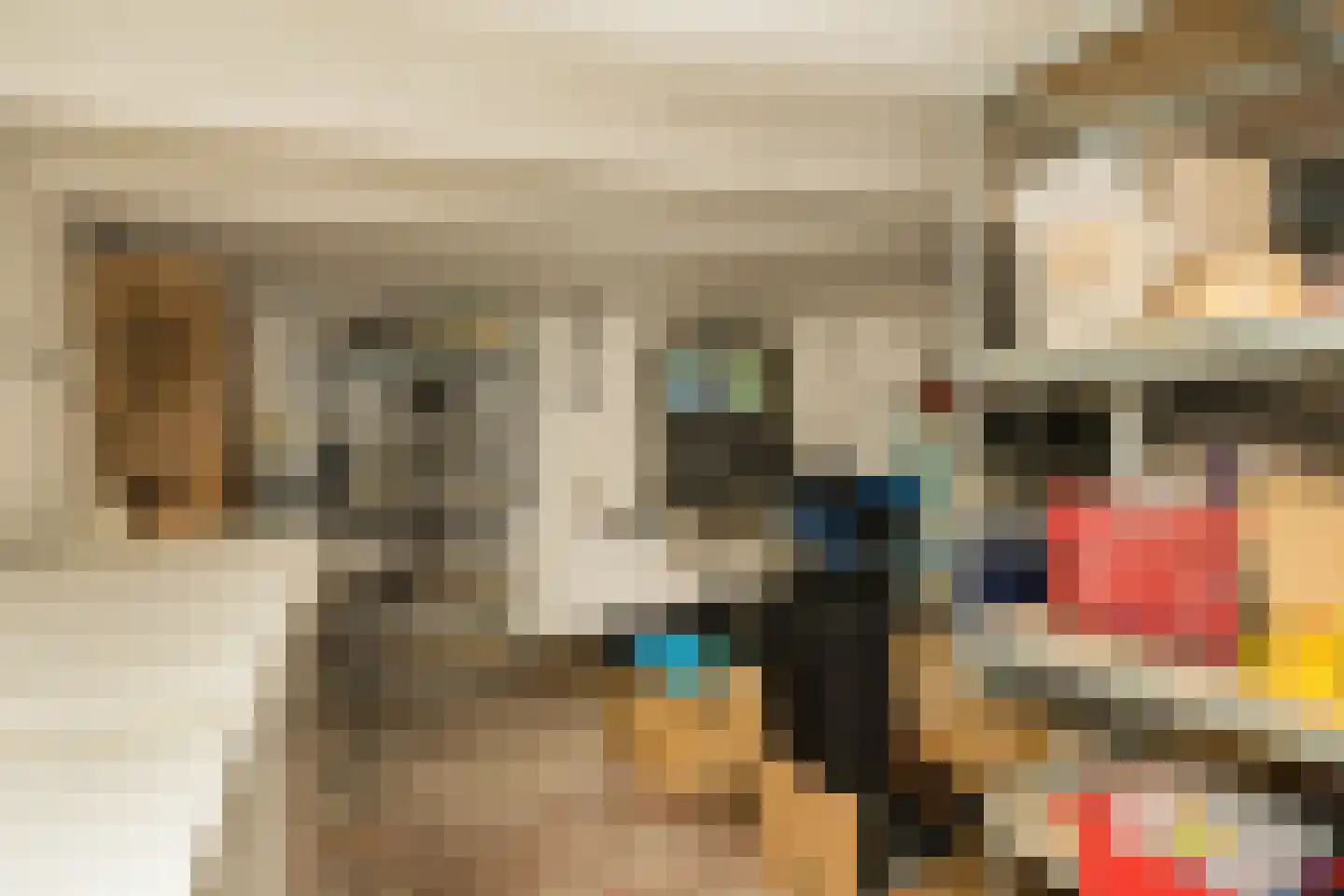 Nassaulaan 9 Steenbergen thumbnail 27