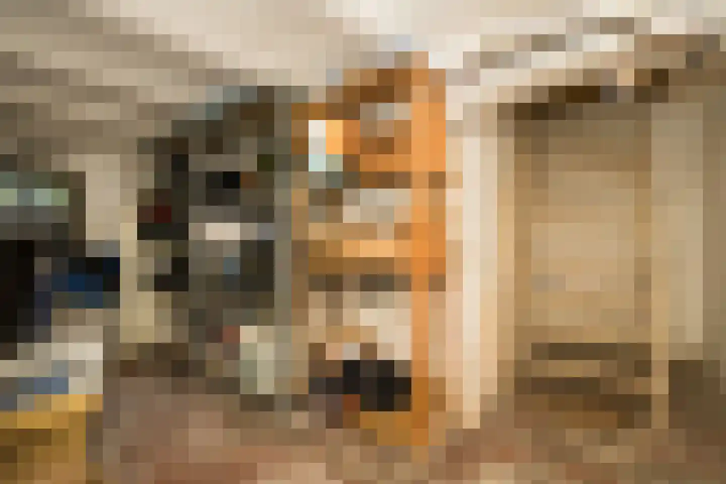 Nassaulaan 9 Steenbergen thumbnail 28