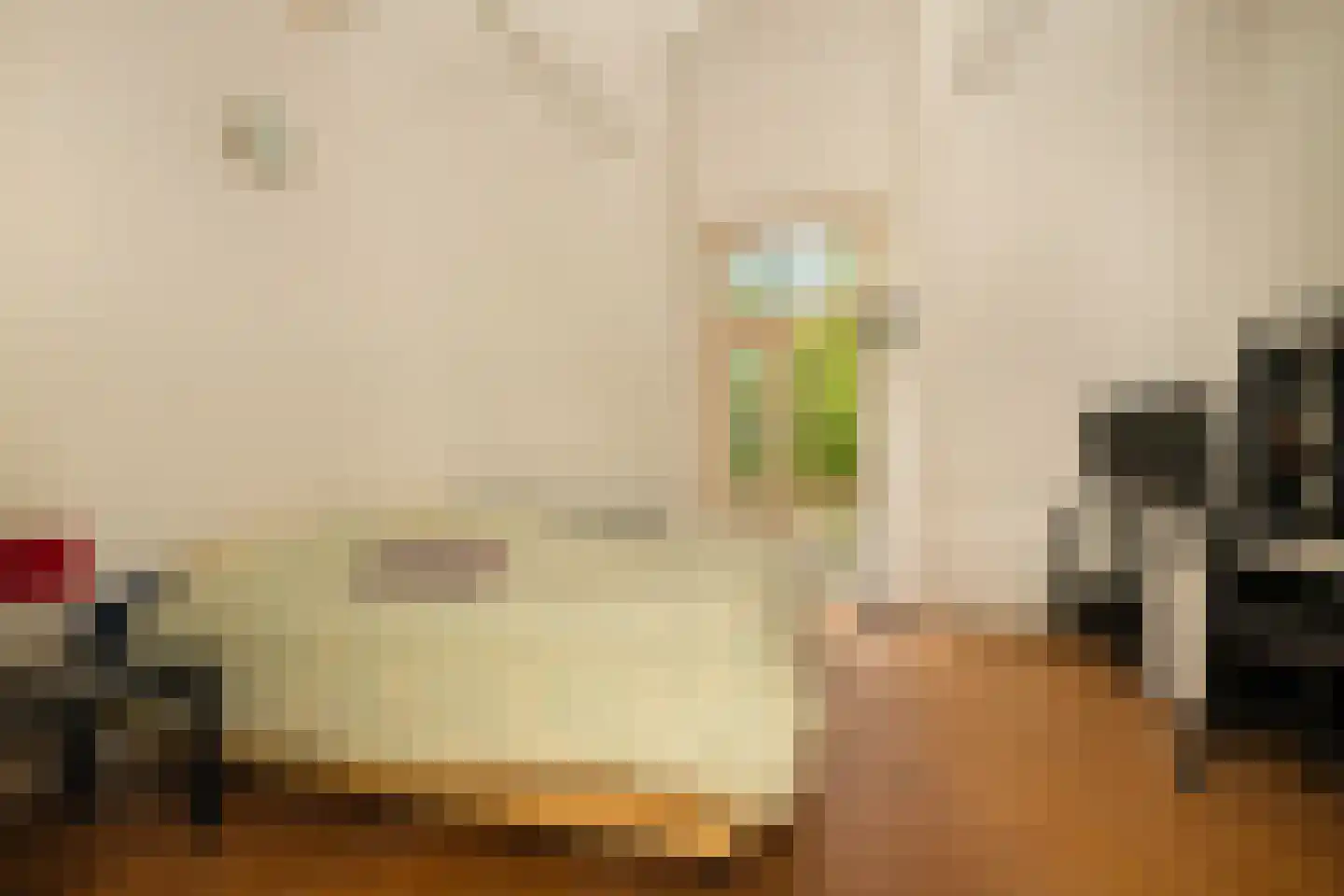 Nassaulaan 9 Steenbergen thumbnail 34