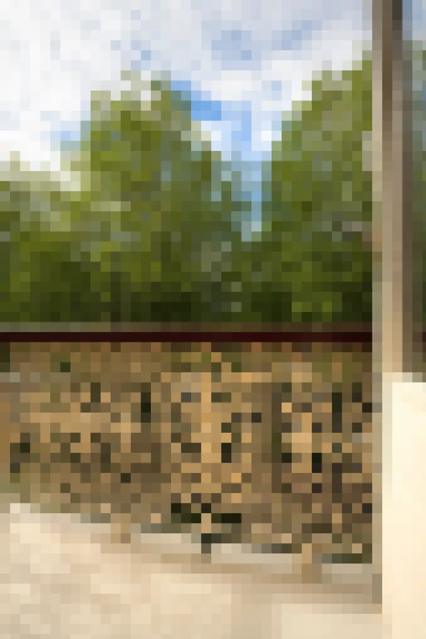 Nassaulaan 9 Steenbergen thumbnail 35