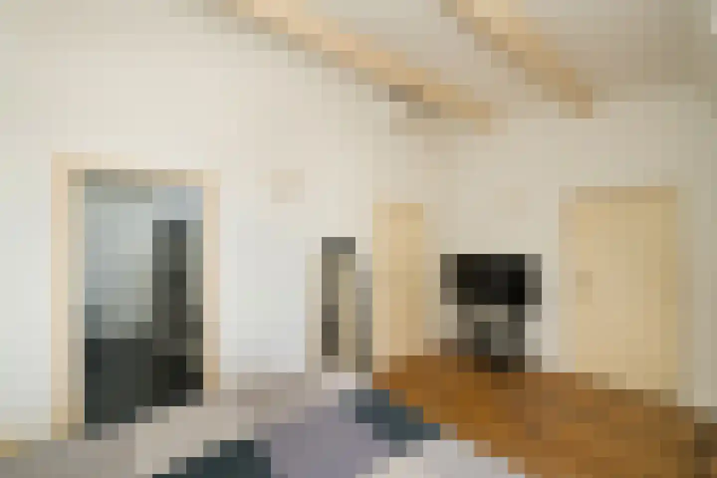 Nassaulaan 9 Steenbergen thumbnail 38