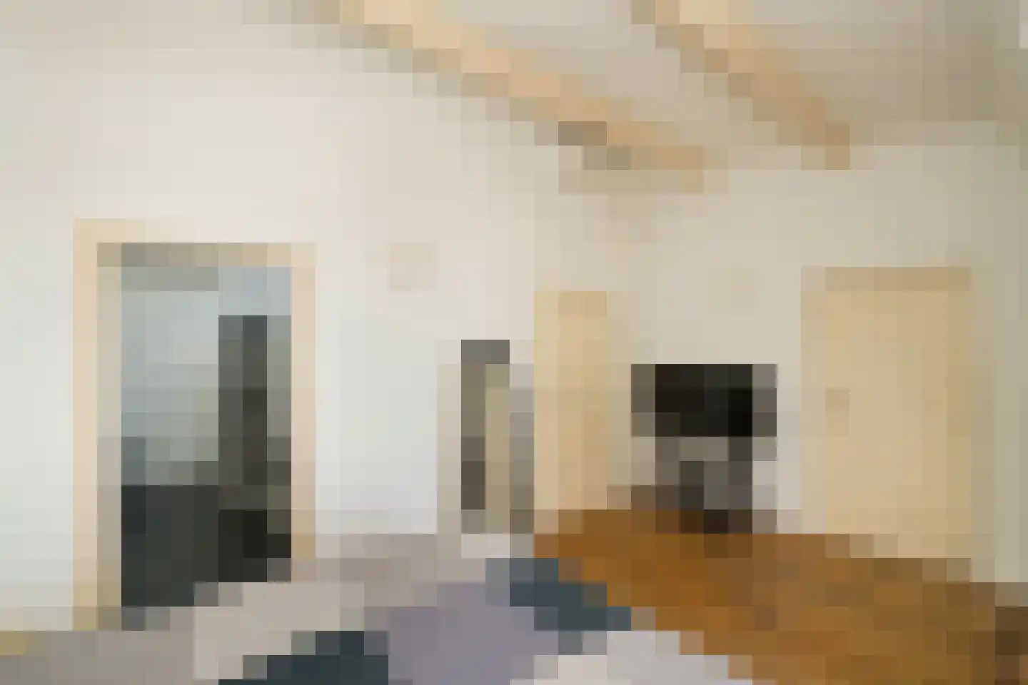 Nassaulaan 9 Steenbergen thumbnail 38