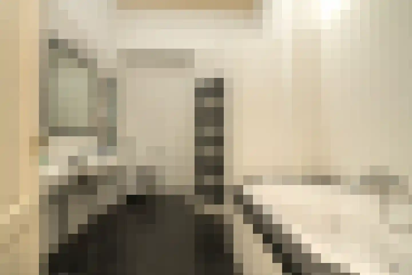 Nassaulaan 9 Steenbergen thumbnail 40