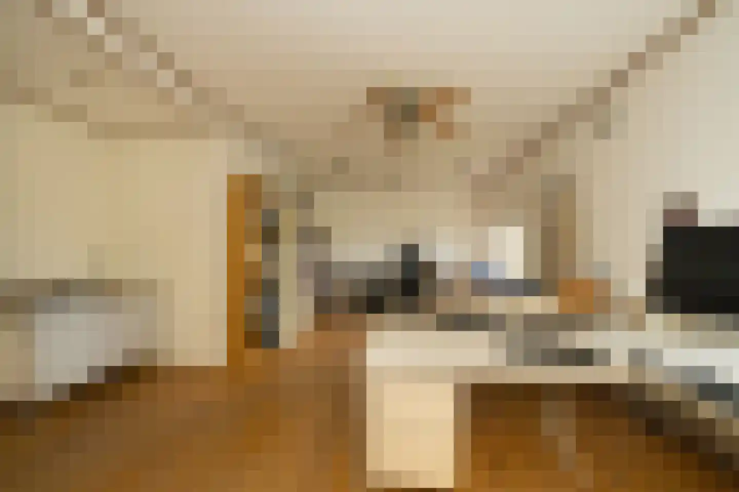 Nassaulaan 9 Steenbergen thumbnail 44